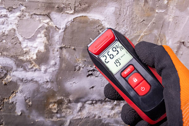 Best Water Damage Restoration  in Belmont, MS