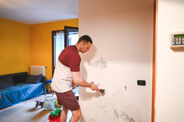 Office Mold Removal Services in Belmont, MS